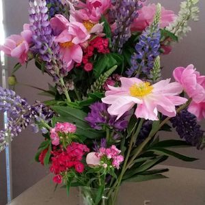 Meet your Posher, Jackie